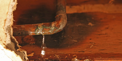 A leaking copper water pipe which has caused damage to the ceiling